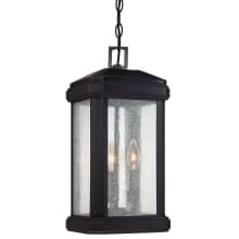 Isle of Wight 3 Light 9" Wide Outdoor Pendant Lantern with Clear Seedy Glass