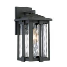 Dundy Single Light 12" Tall Outdoor Lantern Style Wall Sconce with Water Glass Shade