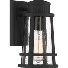 Sampson 10" Tall Outdoor Wall Sconce