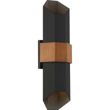 Bosque 21" Tall LED Outdoor Wall Sconce