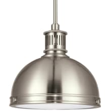 Effingham Single Light 10" Wide LED Mini Pendant with Clear Textured Shade