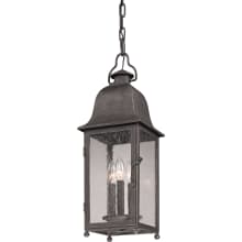 Mulberry 3 Light Outdoor Lantern Pendant with Seedy Glass
