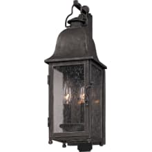 Mulberry 2 Light Outdoor Wall Sconce with Seedy Glass