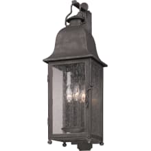 Mulberry 3 Light Outdoor Wall Sconce with Seedy Glass