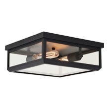 Avery 2 Light 12" Wide Outdoor Flush Mount Square Ceiling Fixture