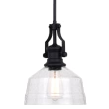 Walter 9" Wide Mini Pendant with a Glass Shade
