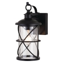 Oculus 12" Tall Outdoor Wall Sconce with Seedy Glass Shade