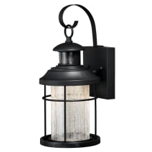 Anthony 14" Tall Integrated LED Outdoor Wall Sconce