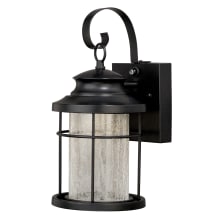 Anthony 13" Tall Integrated LED Outdoor Wall Sconce