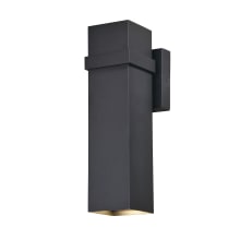 Jonah 2 Light 14" Tall LED Outdoor Wall Sconce
