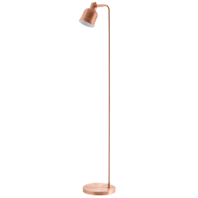 Single Light 57" Tall LED Gooseneck Floor Lamp