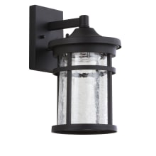 Campo 12" Tall LED Outdoor Wall Sconce