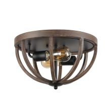 Darlene 2 Light 13" Wide LED Flush Mount Ceiling Fixture