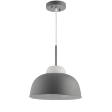 Single Light 12" Wide LED Dome Pendant