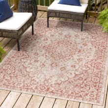 Santa Monica 7-3/4' x 10' Polypropylene Vintage Traditional Indoor / Outdoor Rectangle Area Rug