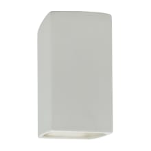 Ambiance 10" Tall Rectangular Closed Top Outdoor Wall Sconce