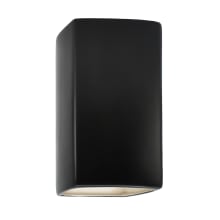 Ambiance 10" Tall Rectangular Closed Top LED Outdoor Wall Sconce