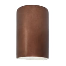 Ambiance 10" Tall Half Cylinder Closed Top LED Outdoor Wall Sconce