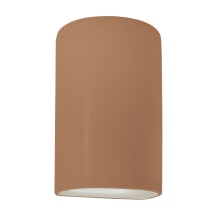 Ambiance 10" Tall Half Cylinder Open Top Wall Sconce