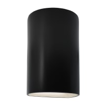 Ambiance 10" Tall Half Cylinder Open Top Outdoor Wall Sconce