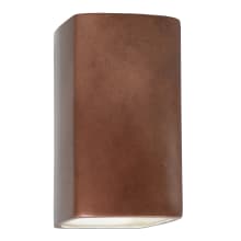 Ambiance 14" Tall Rectangular Closed Top LED Outdoor Wall Sconce