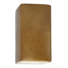 Ambiance 14" Tall Rectangular Closed Top Outdoor Wall Sconce