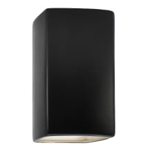 Ambiance 14" Tall Rectangular Closed Top Outdoor Wall Sconce