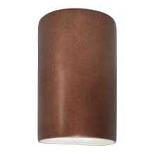 Ambiance 13" Tall Half Cylinder Open Top Outdoor Wall Sconce