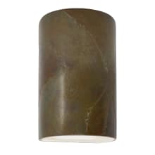 Ambiance 7.75" Outdoor Wall Sconce