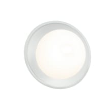 Ambiance 6" Tall LED Wall Sconce