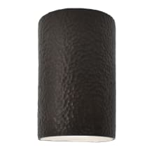 Ambiance 13" Tall Half Cylinder Closed Top LED ADA Outdoor Wall Sconce