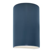 Ambiance 2 Light 13" Tall LED Cylinder Outdoor Wall Sconce
