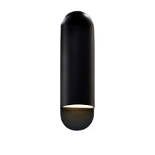 Ambiance 20" Tall Outdoor Wall Sconce