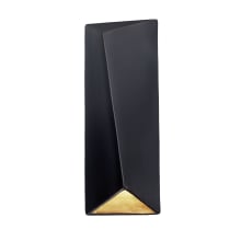 Ambiance 22" Tall LED Wall Sconce