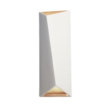 Ambiance 2 Light 22" Tall LED Wall Sconce