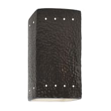 Ambiance 10" Tall Perforated Rectangular Closed Top ADA Outdoor Wall Sconce