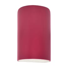 Ambiance 10" Tall Half Cylinder Closed Top ADA Wall Sconce