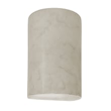 Ambiance 2 Light 10" Tall LED Cylinder Outdoor Wall Sconce