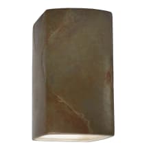 Ambiance 14" Tall Rectangular Closed Top LED ADA Outdoor Wall Sconce