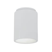 Radiance 7" Wide LED Flush Mount Outdoor Ceiling Fixture