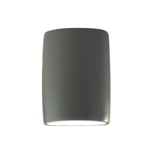 Ambiance 12" Tall Open Top LED Wall Sconce