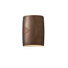 Ambiance 2 Light 12" Tall LED Outdoor Wall Sconce