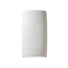Ambiance 2 Light 19" Tall LED Outdoor Wall Sconce
