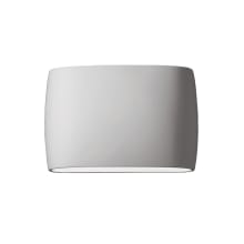 Ambiance 2 Light 10" Tall LED Wide Oval Outdoor Wall Sconce