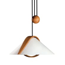 Domus 22" Cone Pendant