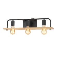 Eco 3 Light 24" Wide Bathroom Vanity Light