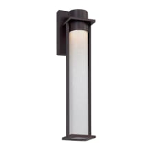 Wooster 19" Tall LED Wall Sconce with Etched Artisan Glass Shade
