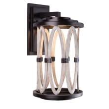 Belmont Outdoor 24" Tall LED Outdoor Wall Sconce