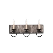 Laramie 3 Light 19" Wide Bathroom Vanity Light