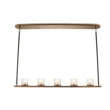 Library 5 Light 41" Wide LED Linear Chandelier